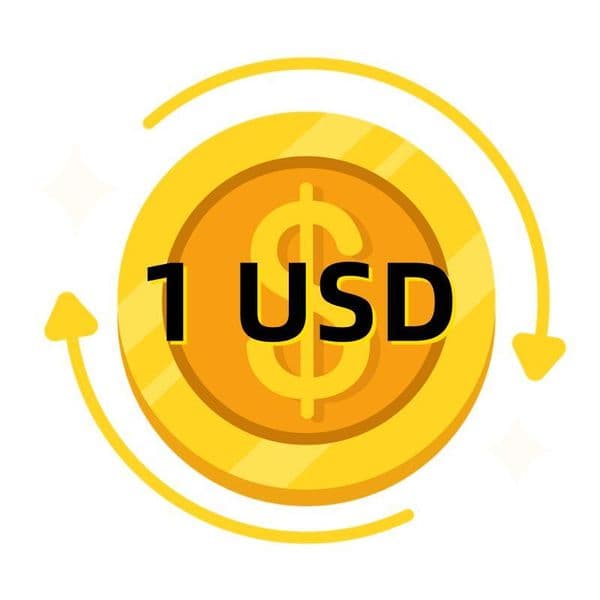 Payment link This link is used to supplement the price difference and does not represent any actual products the products are subject to chat communication