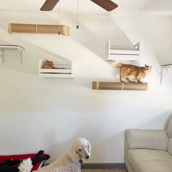 Wall mounted cat rack and perch wall mounted climbing frame equipped with sisal scraping and bridge step bed furniture 240924