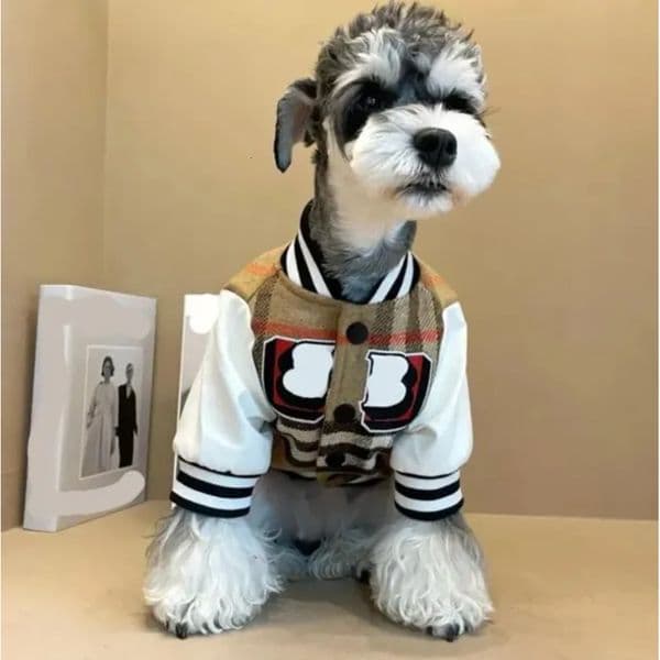 Designer Dog Accessories Outerwears Autumn Spring Baseball Jacket Cat Plush Thickened Warm Coat Teddy Clothing Knitwear Fb7