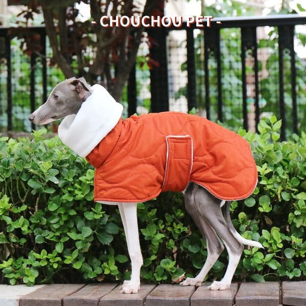 Winter Dog Outer orange Quilted Turtle Collar Coat Warm Italian Greyhound Adjustable Cotton Whippet 241120