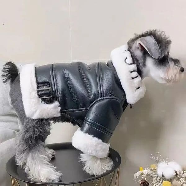 Thickened Fur Integrated Motorcycle Jacket Pet Clothes Winter Clothing Small Dog Teddy Pomeranian Schnauzer 241028