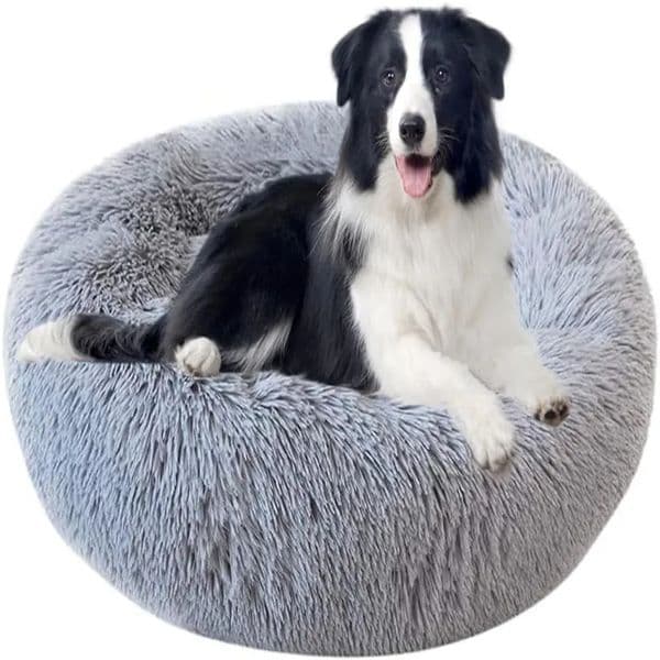 Pet Dog Bed Comfortable Donut Cuddler Round Kennel Ultra Soft Washable and Cat Cushion Winter Warm Sofa sell 241028