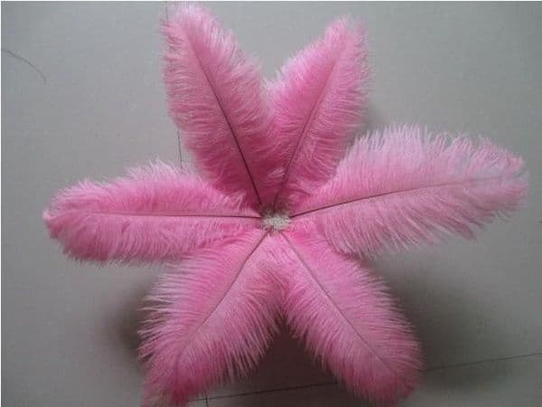 Classic beautiful ostrich feathers 25-30cm for Wedding centerpiece Table centerpieces Party Decoraction supply