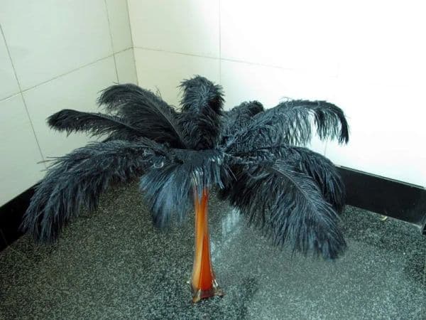 Simple beautiful ostrich feathers 25-30cm for Wedding centerpiece Table centerpieces Party Decoraction supply