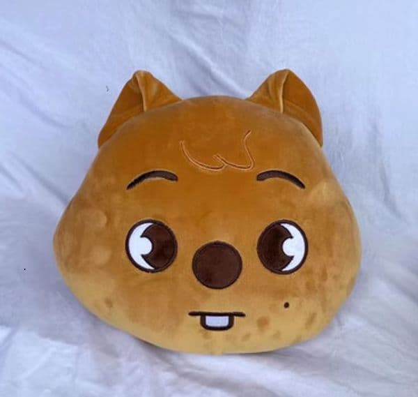 New Christmas Gift Skzoo Plush Toys Kawaii Stray Stuffed Animal Korean Plushies Pillow Toy Pollow Dolls Fans Gift for Kids 3840cm 220304