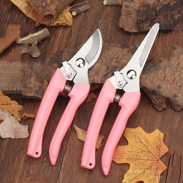Pruning Tools 2pcs Garden Shears Color Stainless Steel Flower Pot Decorative Professional Scissors Fruit Rough Branch 231215