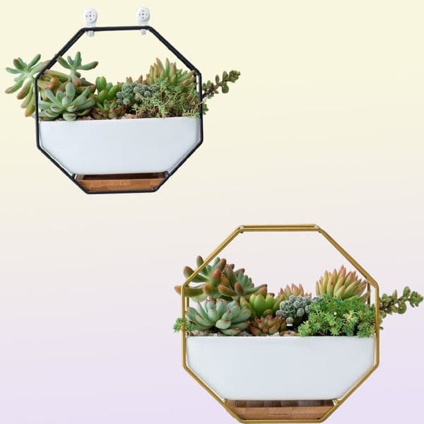 Hanging Succulent Flower Pots Ceramic Flowerpots Stand Holder Black Gold Iron Rack Bamboo Tray Desktop Geometric Cactus Planter Y2