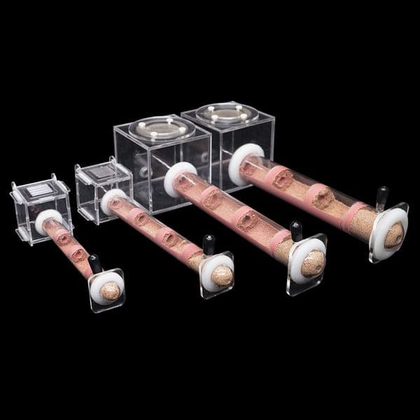 Small Animal Supplies DIY Ecological Ant Farm Bamboo Tube Nest with Feeding area Various Size House for Workshop Pet Anthill With Bracket 230720