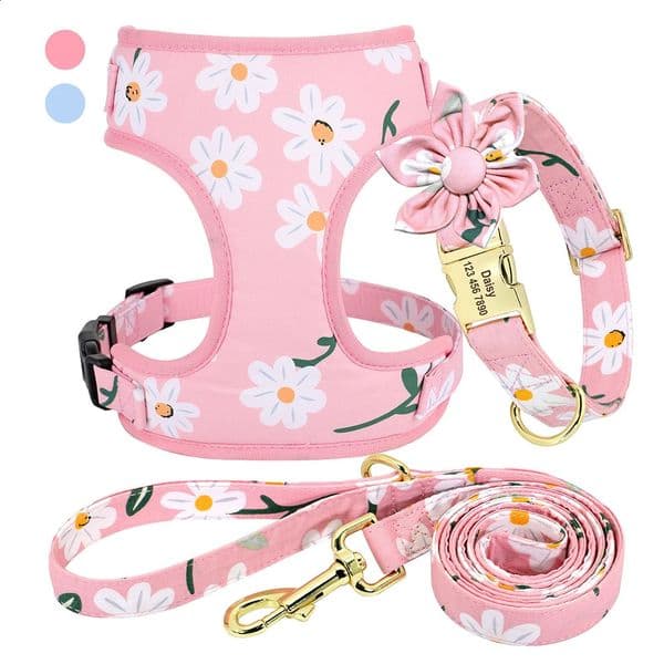 Dog Collars Leashes 3pcs/lot Personalized Dog Collar Harness and Leash Set Adjustable Custom Name Tag Accessories Pet Puppy Collar Harness Perro Pug 231110