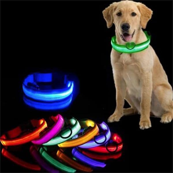 Led Dog Light Anti-lost Collar For Dogs Puppies Night Luminous Supplies Pet Products Accessories USB Charging/Battery GC1888