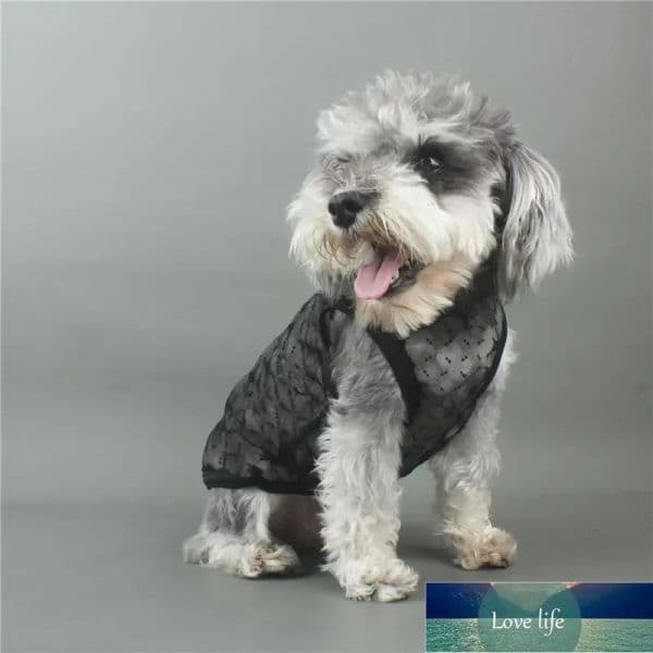 Dog Apparel Black Mash Cool Dog Vest Full Classic Letter Fashion Puppy Vests Summer Outdoor Bichon Schneider Apparel Quality