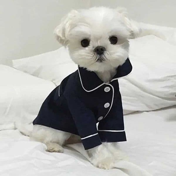 Dog Pajamas Summer Dog Clothes for Small Dogs Chihuahua Pet Shirt Clothing Ropa Perro Dogs Coat Jacket Puppy Costume Yorkshire Z250902