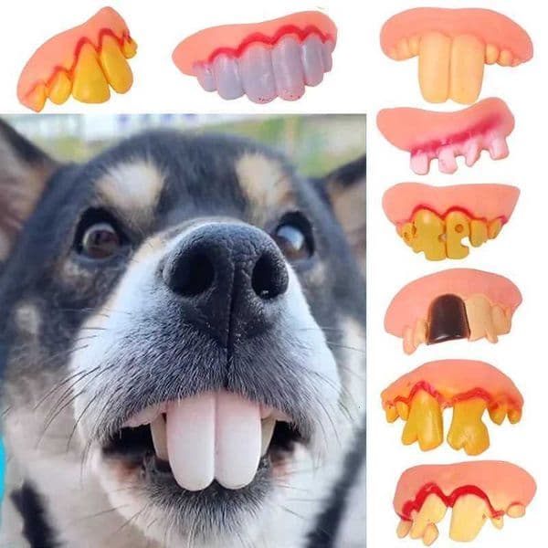 Random Teeth for Dog Funny Dentures Pet Decorating Supplies Halloween Cosplay Humans and Vampires Toys Tricky Funny Dentures X250913