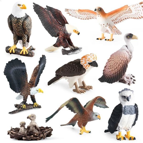 Oenux Wild Bird Animals Forest Night Eagle Condor Figurines PVC Action Figure Garden Decoration Education Miniature Toy Kid Gift250916BJ