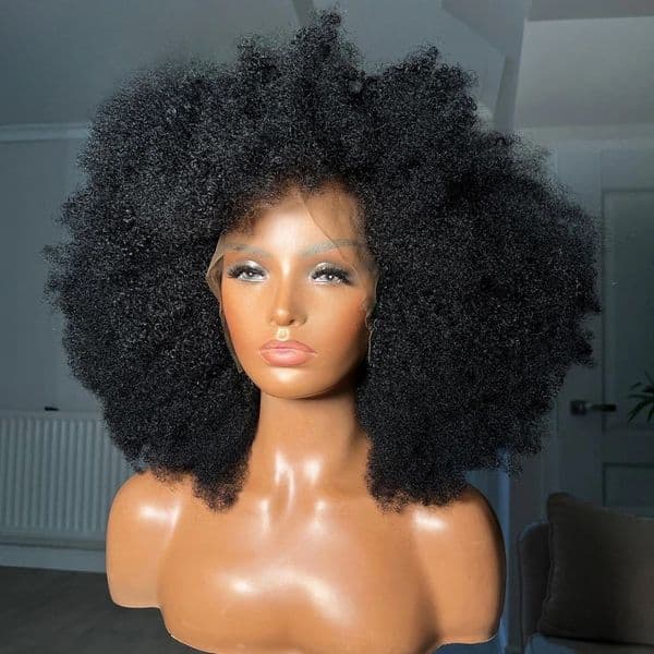 13x6 HD Lace Frontal Wig For Girls Afro Kinky Curly Wig with Baby Hair 13X4 Lace Front Human Hair Wig Pre-Plucked Braided Wigs Glueless