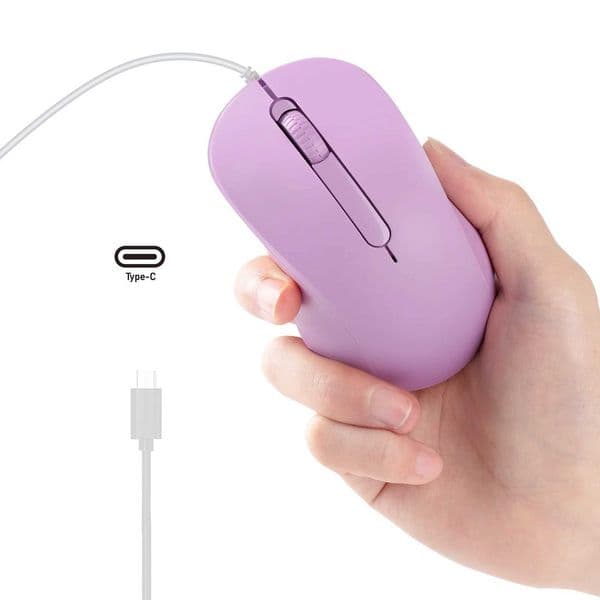 New Arrival Type-C interface silent wireless mouse suitable for iPad Android Windows tablets T250102