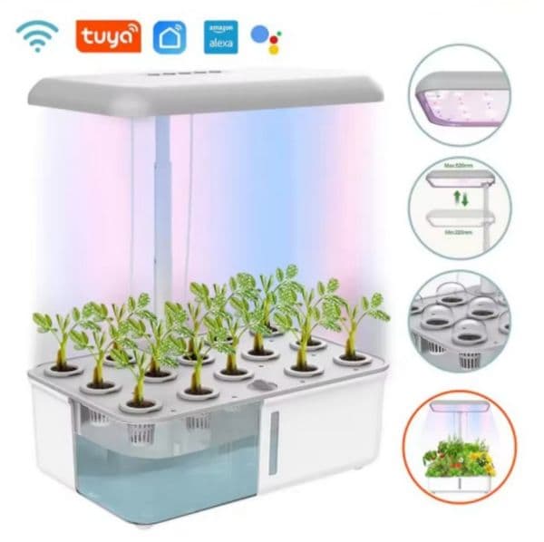 Tuya Wifi Hydoponics Growing System with LED Grow Light Auto Pump Smart Indoor Gardening System Herb Garden Kit Planter for Home