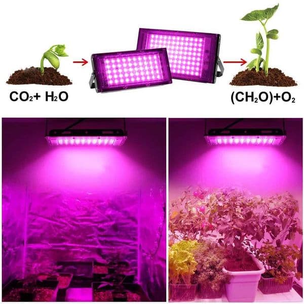 New Arrival LED growth light plant light AC 220V 50W LED full spectrum floodlight indoor and outdoor greenhouse plant hydroponic plant spotlight Z25109
