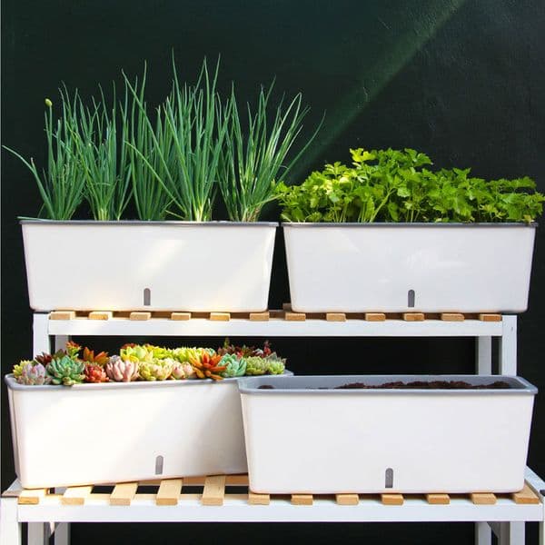 Self-Watering Planter Pots with Handy Water Level Indicator for Indoor Home Garden Accessories