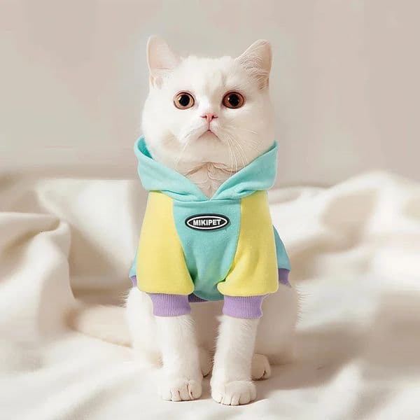 Cat Clothes Autumn and Winter Style German Ragdoll American Shorthair Silver Gradient Pet Clothing Winter Cat Warm Hooded Clouth 250729