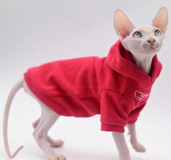 Hairless Ball Cat Apparel Sphynx Cat Apparel Kitty Clothes Autumn and Winter Outfits 250729