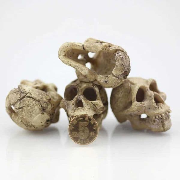 Simulation Statue Landscape Ornament Reptile Cave Artificial Rhino Sheeps Head Resin Skull Aquarium Terrarium Decoration Fish Tank Z250805