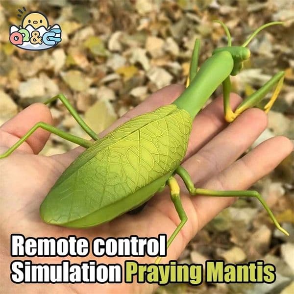 RC Animal Robot Antistress Insect Toys Infrared Simulation Spider Bee fly mantis Electric Toy for Children Prank Insects pet toy y250826BANJIA