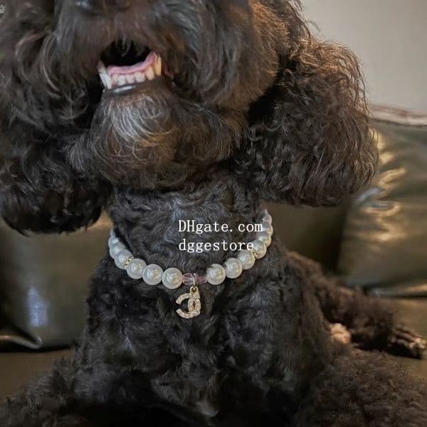 Designer Pets Necklace Classic Letters Crystal Dog Necklace Jewelry with Bling Pearls Rhinestones Charm for Small Dogs Teacup Chihuahua Yorkie Costume Outfits 381