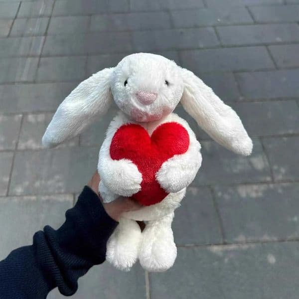 Plush Dolls Jelly Red Love Bonnie Rabbit Soothing Doll Milk White Plush Toy for Girls