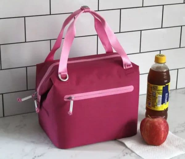 Lunch Day Julienne Mini Soft Cooler Box Recycled Polyester Carry All 40oz Cup Crossbody Bag with Phone Pocket for Cups Accessories In Hand