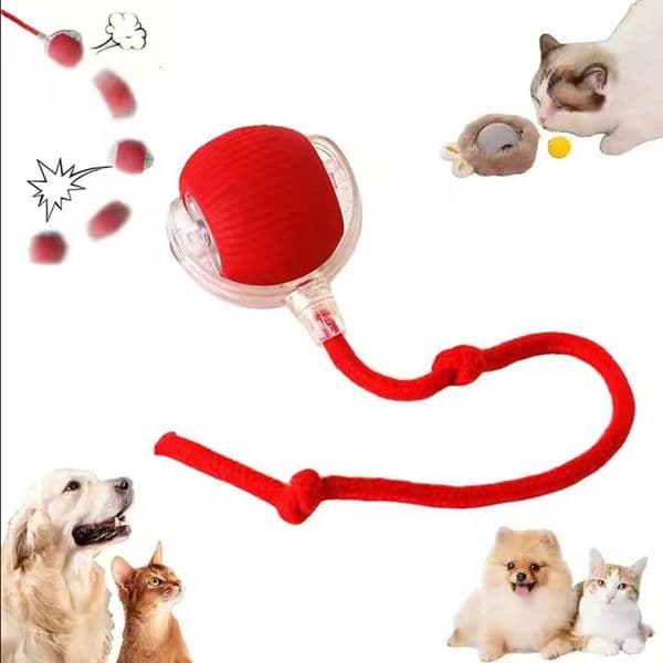 Cat bulk Dog Toy Election Cap Party Hats Mesh Sports Caps Free Shipping