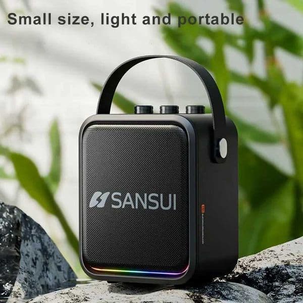 SanSui T91 60W High Power Wireless Portable Microphone Speaker Sound Family Party Karaoke Subwoofer Sound Box Z250304