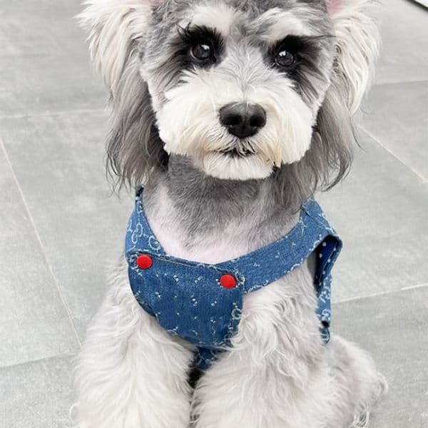 Designer Dog Sweater Hoodies Dog Strap pants love Apparel Clothing Hooded Brand Letter Printing Pullover Pets Supplies Warm Pet Sweatshirt Cold Weather