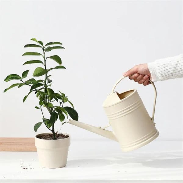 2L Watering Can Large Capacity Indoor Plants Flower Watering Can Outdoor Plants Garden Flower Indoor Long Spout Garden Tools 250304