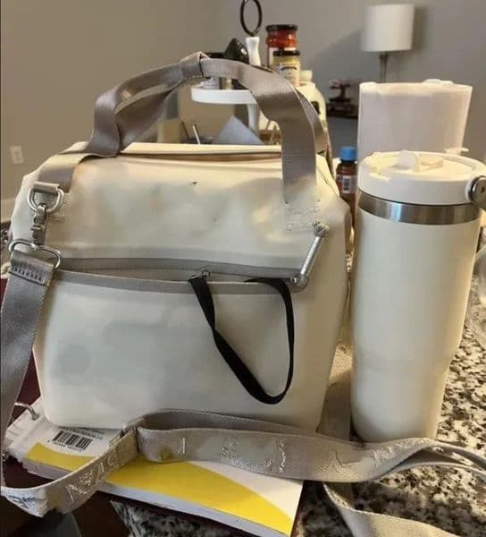 2026 US Warehouse Cream Boxes All Day Julienne Mini Soft Lunch Bag Box Recycled Polyester 10 Can 12 Hour Coog Travel Cooler Bgas 0327 Free Shipping