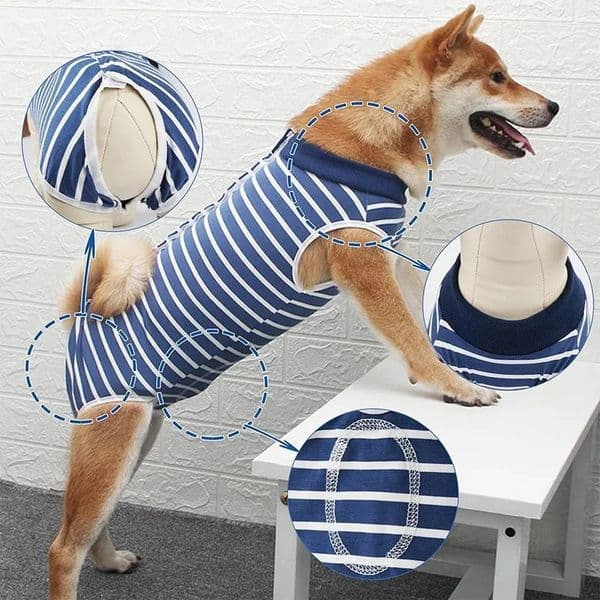 Surgery Recovery Suit Anti Licking Wounds Pet Care Clothes After Supplies For Dog Accessories WWO66 250318