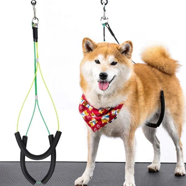 Adjustable Pet Dog Cat Grooming Loop Table Pet Grooming Leash Table Loop D-rings Bathing Strap Traction Belt Dog Collar Harness 250320BJ