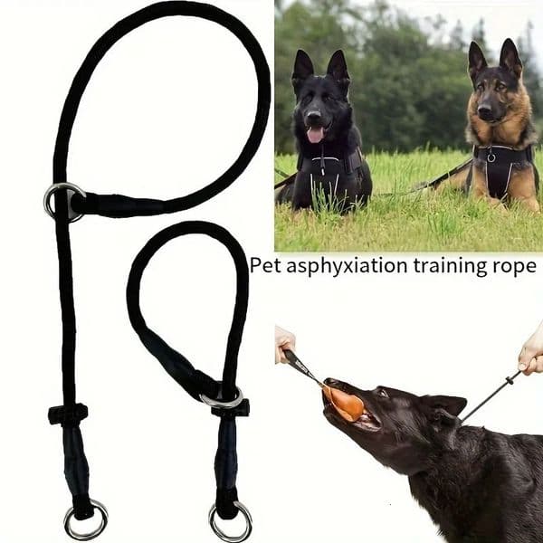 Polyester Fiber Dog Training Leash with Adjustable Slip Collar - Durable Choke Loop for Behavioral Training Non-Asphyxiation Co 250320BJ