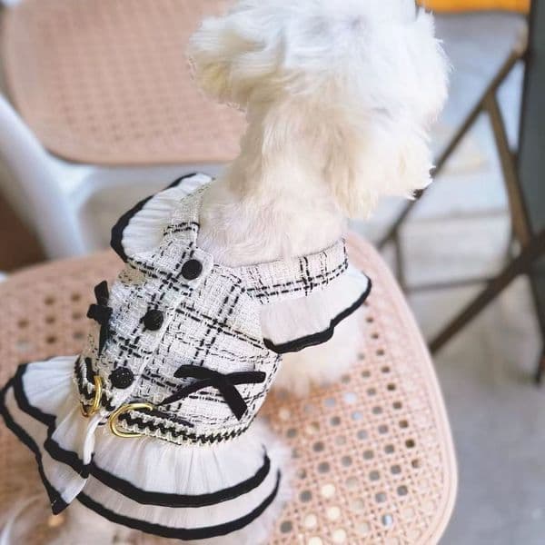 Luxury dog Dog Clothes Summer Thin Pet Small Dog Bichon cat Schnauzer Yorkshire Terrier Denim Vest Can Be Traction Free Shipping