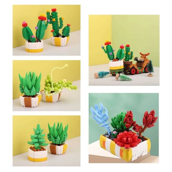 Cute Succulent Potted Plant Building Blocks for Girl DIY Romantic Eternal Flower Bricks Model Mother Birthday Gifts X250509