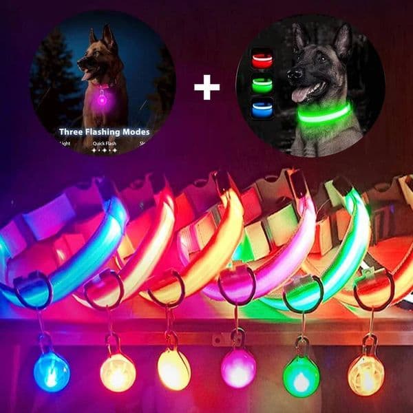 Usb Charging Glowing Dog With Pendant Detachable Led Light Bright For Small Dogs Cat Night Safety Collar Wholesale