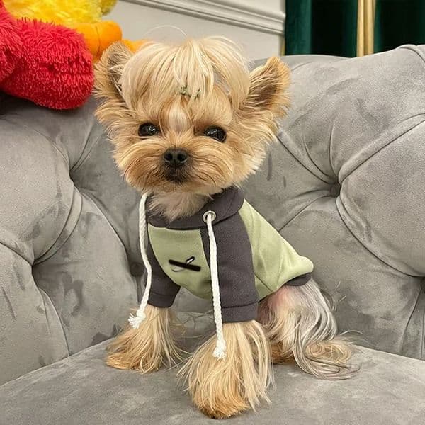 2025 new T00339 Yorkshire Terrier Maltese Dog Cat Clothes Elastic Lace Vest