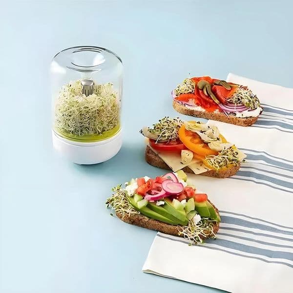 Countertop Bean Sprouter Household Kitchen Sprout Planter Seed Germination Jar Pea/Mung Bean/Alfalfa/Peanut Sprouting Tool 250528
