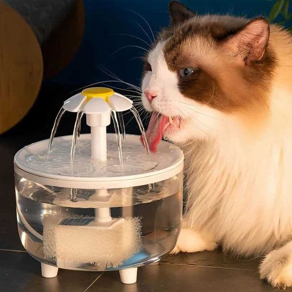 5V USB Powered Whisper-Quiet Automatic Pet Water Fountainfor Cats dog - Food-Grade Pp Material Low Voltage Operation M251204