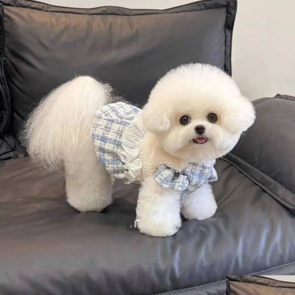 Dog Coats Jackets Black Lamb Plush Designer Coat Warm Clothes For Winter Drop Delivery Pet Supplies Apparel Otfoi