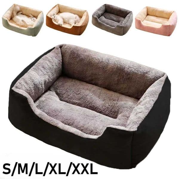Bed for Cats Pet Products Cushions Kitten Goods Accessories Dog All Home Supplies Things Accessory Habitats Basket House Beds H251206