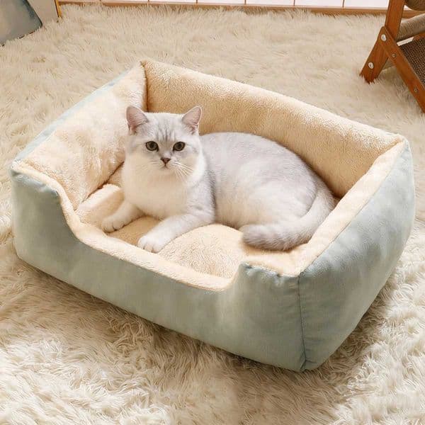 Bed For Cats Pet Products Cushions Kitten Winter Accessories Dog All Houses Supplies Things Accessory Habitats Basket House Beds H251212