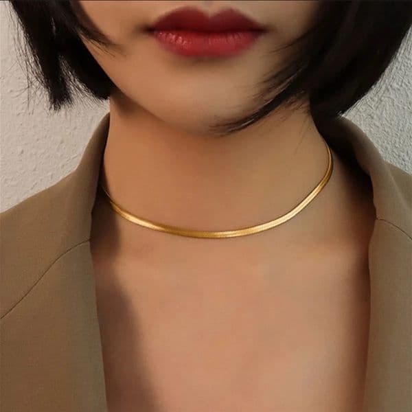 Golden Stainless Steel Snake Bone Chain Necklace Hip Hop Chic Women Cool and Beautiful Versatile Chavicle Fashion Jewelry 251205
