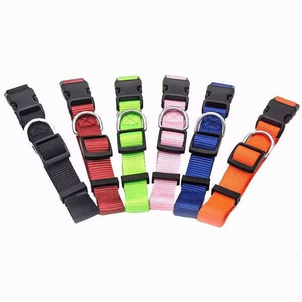 Costom Solid Color Collars Nylon Adjustable Durable - Dog Collar and Pet Accessories price