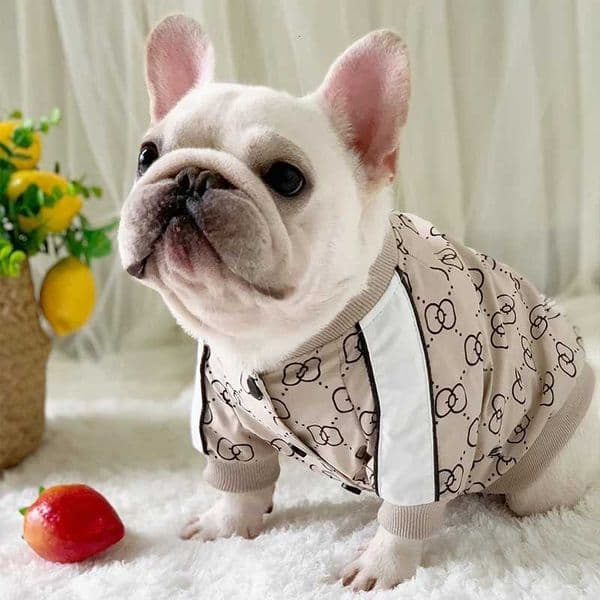 Winter Pet Clothing Fat Dogs Jackets Luxurious Fashion Comfortable Warm Jacket Puppy Clothes Bulldog Bago Dog Costume Z251223